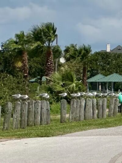 Bayshore Park - Bacliff, TX