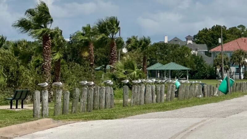 Bayshore Park - Bacliff, TX