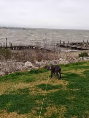 Bayshore Park - Bacliff, TX