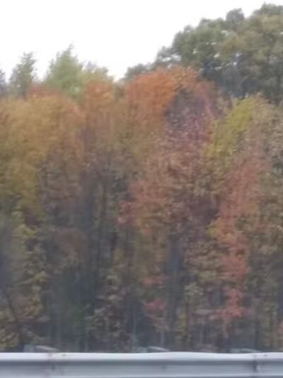 Casnovia Township Park - Bailey, MI