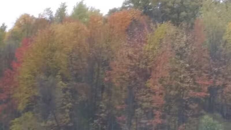 Casnovia Township Park - Bailey, MI