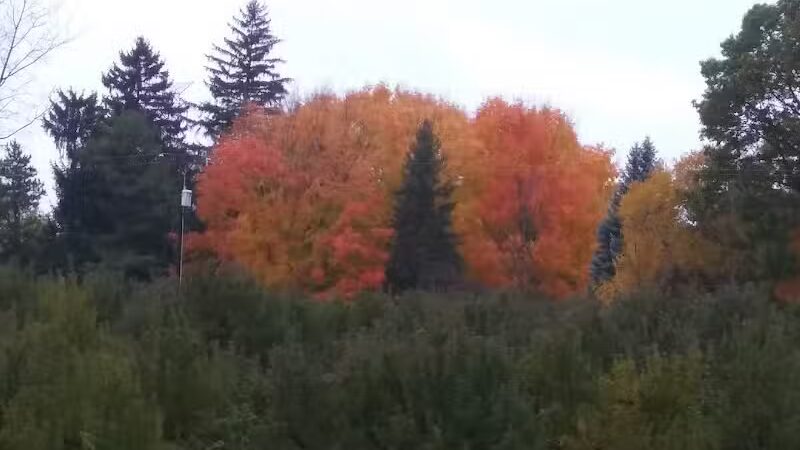Casnovia Township Park - Bailey, MI