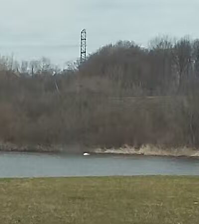 Casnovia Township Park - Bailey, MI