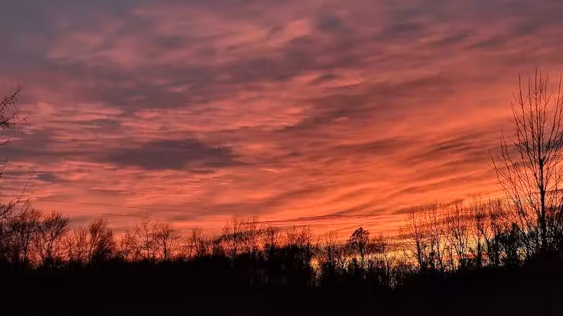 Casnovia Township Park - Bailey, MI