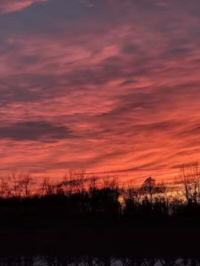 Casnovia Township Park - Bailey, MI