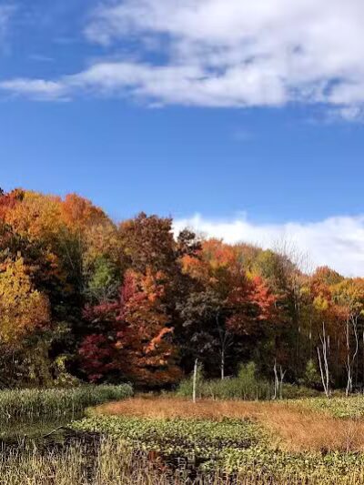 Casnovia Township Park - Bailey, MI