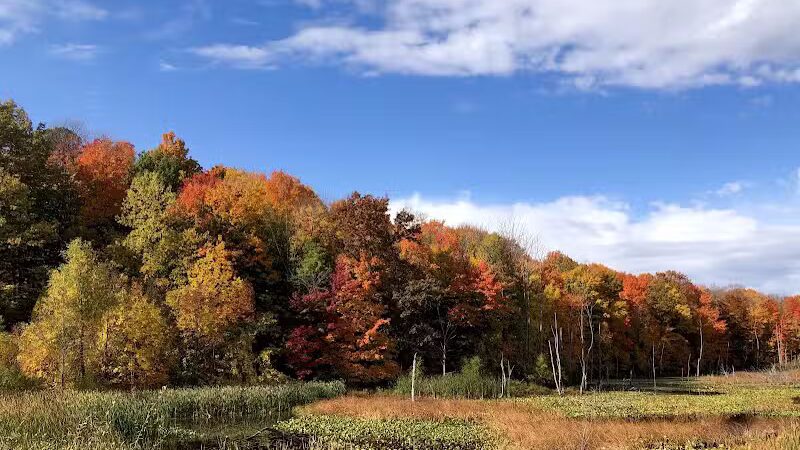 Casnovia Township Park - Bailey, MI
