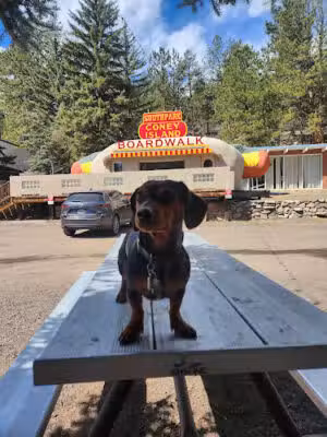 South Park Coney Island - Bailey, CO