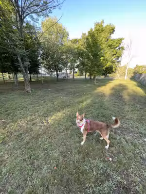 Captain Bailey's Dog Park - Baileys Harbor, WI