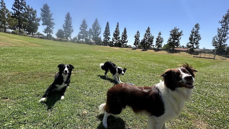 Centennial Dog Park - Bakersfield, CA