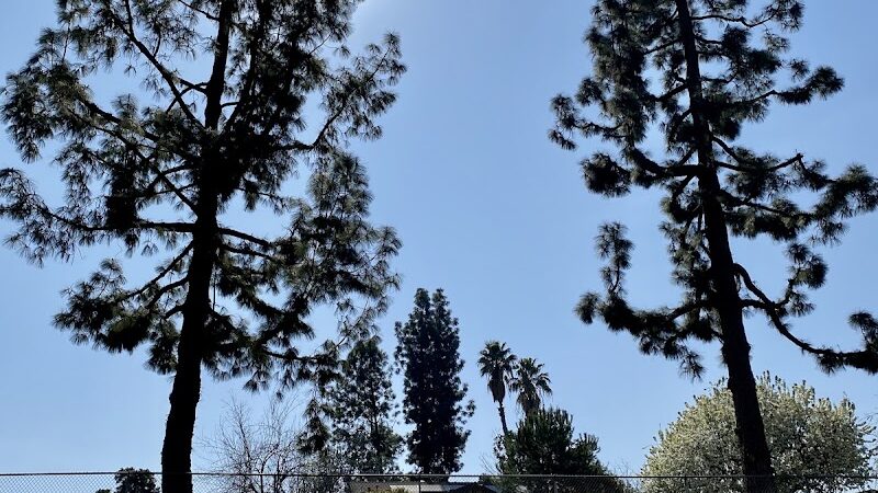 Centennial Dog Park - Bakersfield, CA