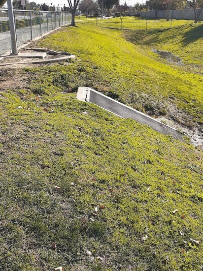 Coffee Road Small Dog Park - Bakersfield, CA