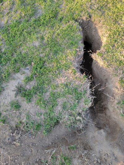 Coffee Road Small Dog Park - Bakersfield, CA