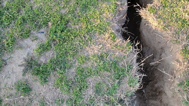 Coffee Road Small Dog Park - Bakersfield, CA