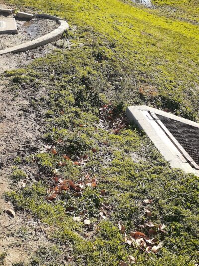 Coffee Road Small Dog Park - Bakersfield, CA