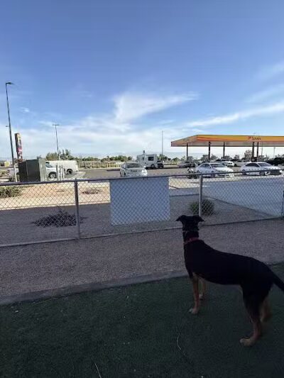 Dog Park at Love's Travel Stops - Bakersfield, CA