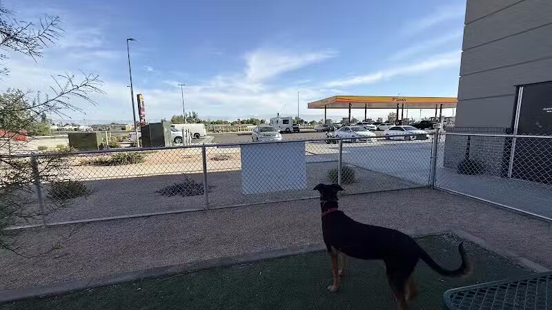 Dog Park at Love's Travel Stops - Bakersfield, CA
