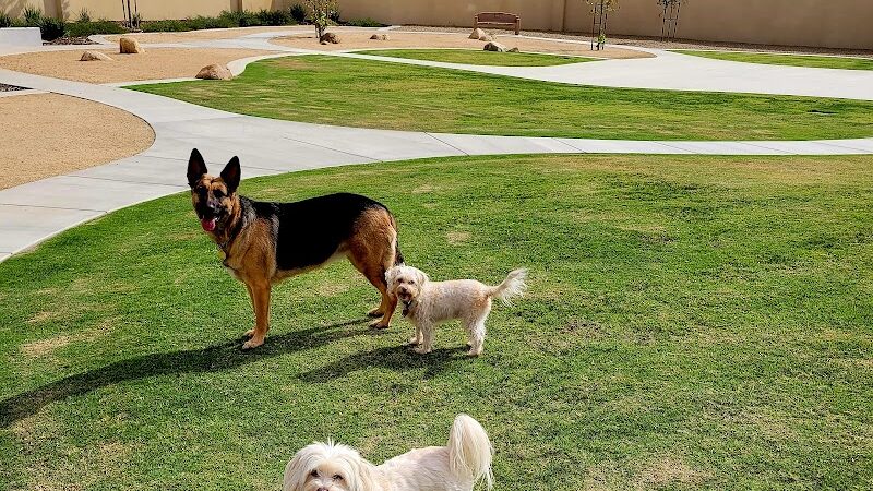 Highgate dog park - Bakersfield, CA