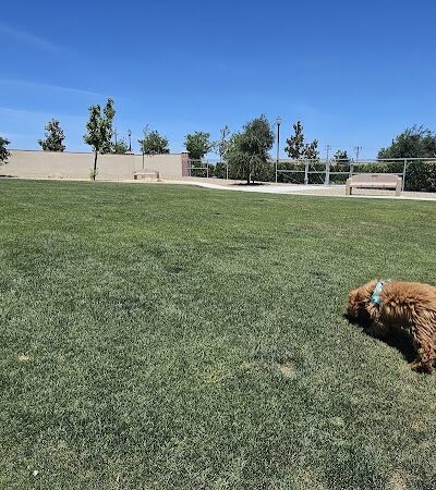 Highgate dog park - Bakersfield, CA