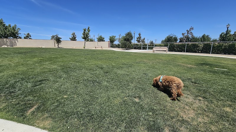 Highgate dog park - Bakersfield, CA