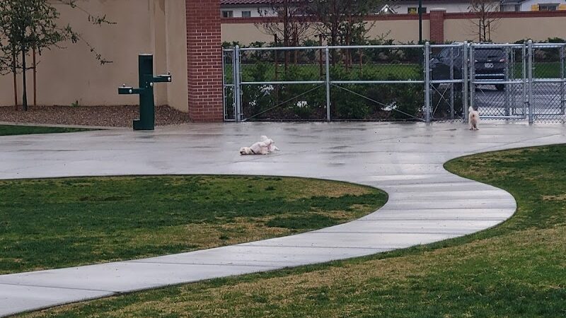Highgate dog park - Bakersfield, CA