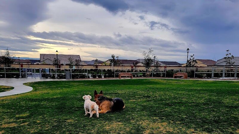 Highgate dog park - Bakersfield, CA
