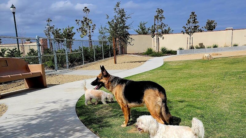 Highgate dog park - Bakersfield, CA