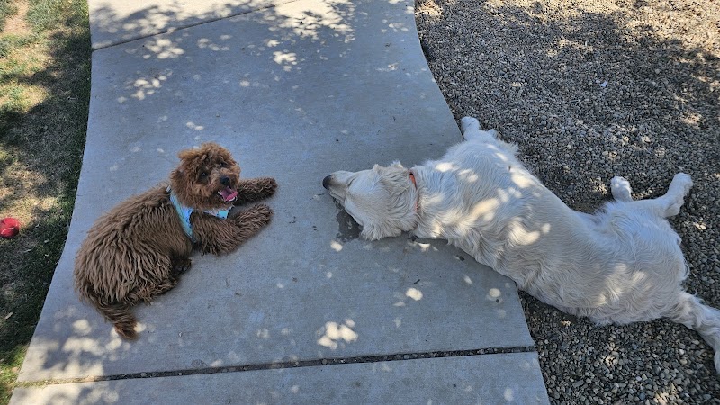 Highgate dog park - Bakersfield, CA