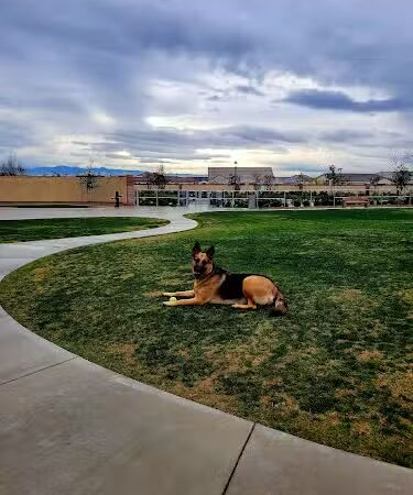 Highgate dog park - Bakersfield, CA
