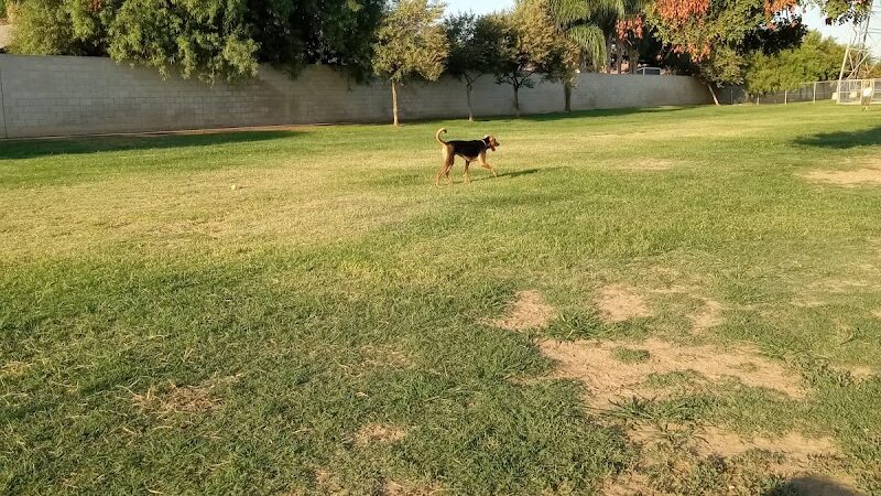 Krebs Dog Park - Bakersfield, CA