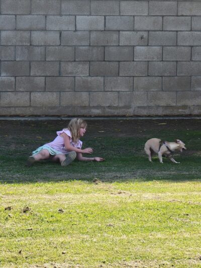 Krebs Dog Park - Bakersfield, CA