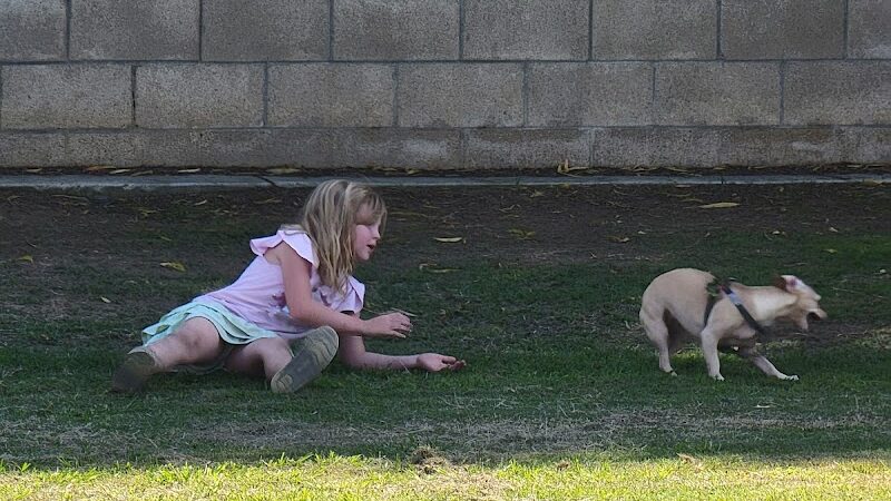Krebs Dog Park - Bakersfield, CA