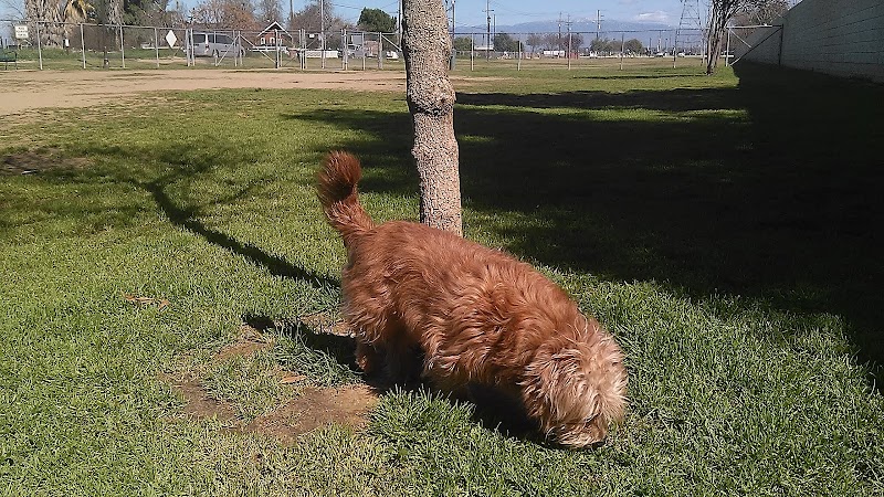 Krebs Dog Park - Bakersfield, CA