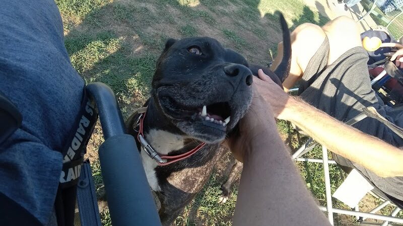 Krebs Dog Park - Bakersfield, CA