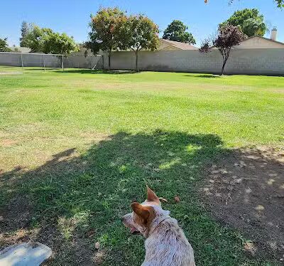 Krebs Dog Park - Bakersfield, CA