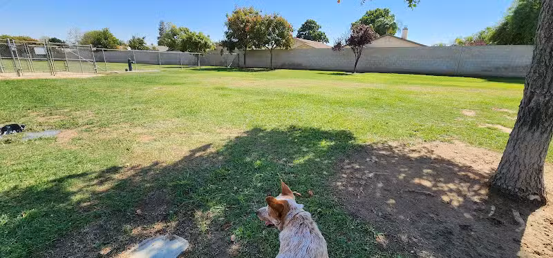 Krebs Dog Park - Bakersfield, CA
