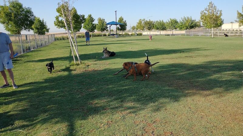 Mesa Marin Dog Park - Bakersfield, CA