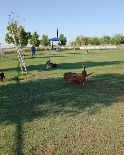 Mesa Marin Dog Park - Bakersfield, CA