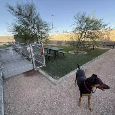 Dog Park at Love's Travel Stops - Bakersfield, CA