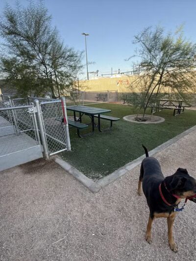 Dog Park at Love's Travel Stops - Bakersfield, CA