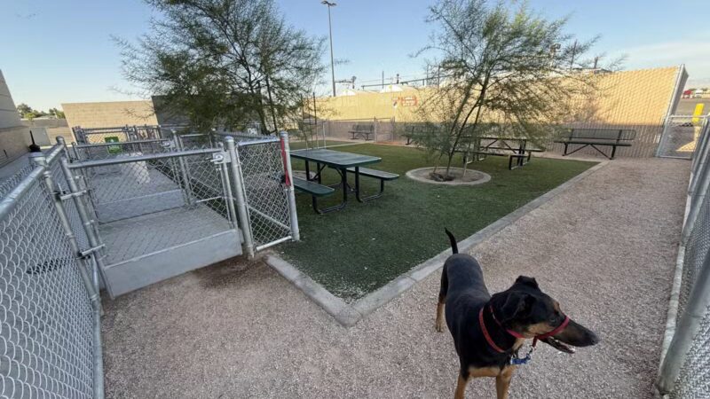 Dog Park at Love's Travel Stops - Bakersfield, CA