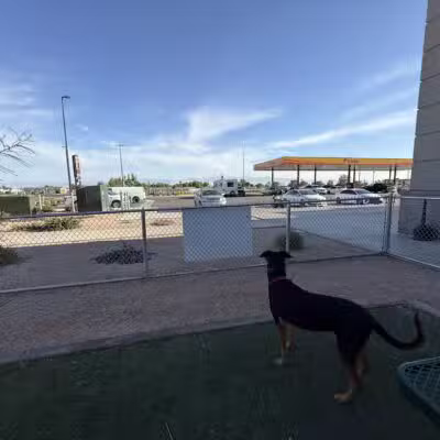 Dog Park at Love's Travel Stops - Bakersfield, CA