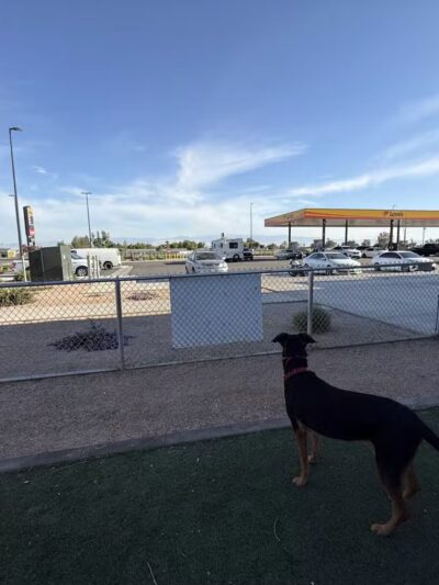 Dog Park at Love's Travel Stops - Bakersfield, CA