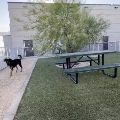 Dog Park at Love's Travel Stops - Bakersfield, CA