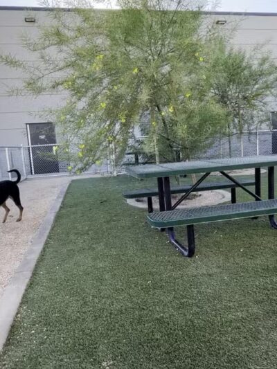Dog Park at Love's Travel Stops - Bakersfield, CA