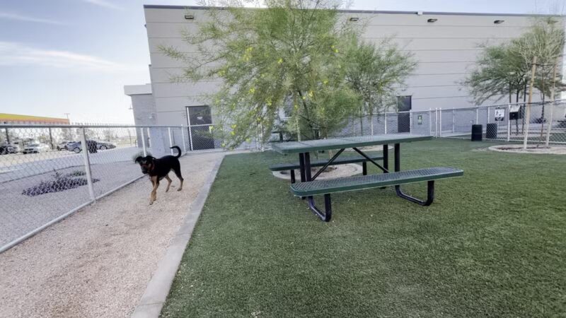 Dog Park at Love's Travel Stops - Bakersfield, CA