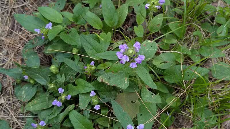 76th St Trailhead NCT - Baldwin, MI