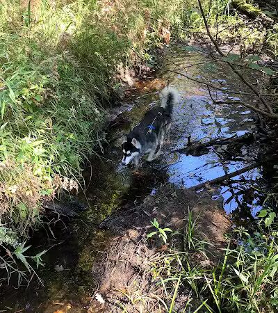 76th St Trailhead NCT - Baldwin, MI