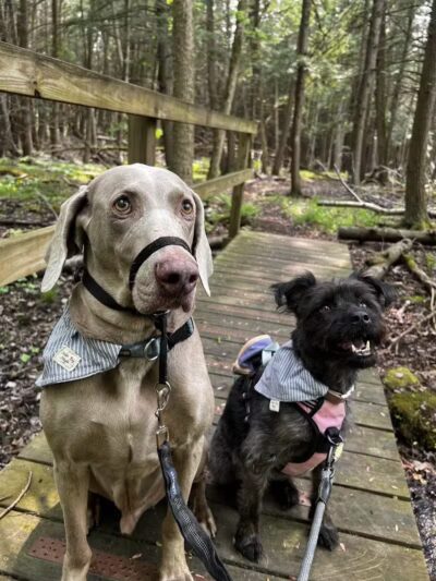 76th St Trailhead NCT - Baldwin, MI