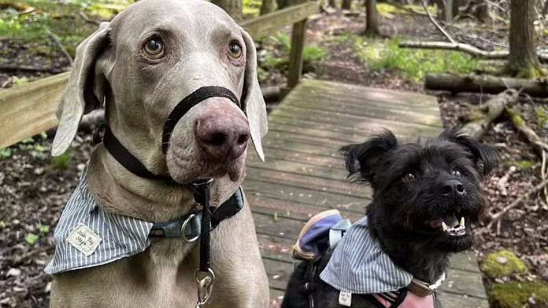 76th St Trailhead NCT - Baldwin, MI